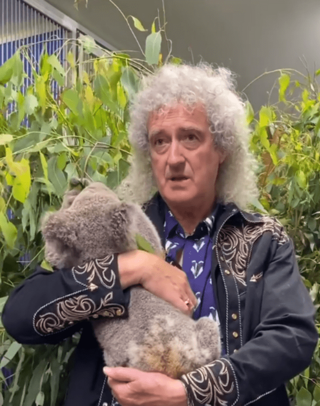 Brian May no pudo evitar no cargar a los inofensivos animalitos.