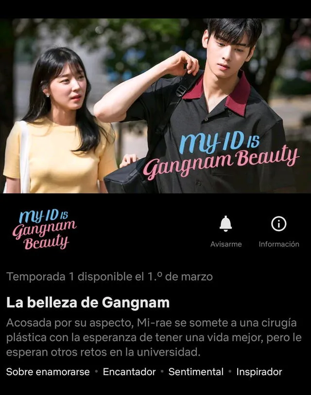 My ID is Gangnam Beauty, Netflix, Cha Eunwoo