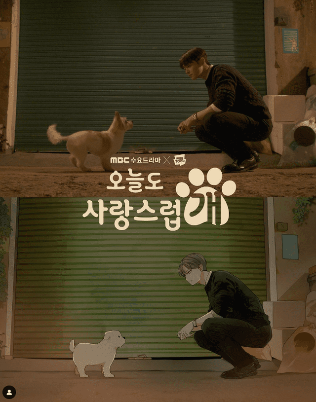  'A Good Day To be A Dog', serie de MBC está basado en un webtoon popular en Corea. Foto: MBC   