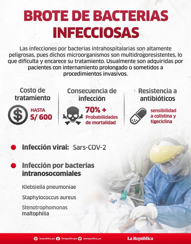 Brote de bacterias infecciosas. Infografía: La República