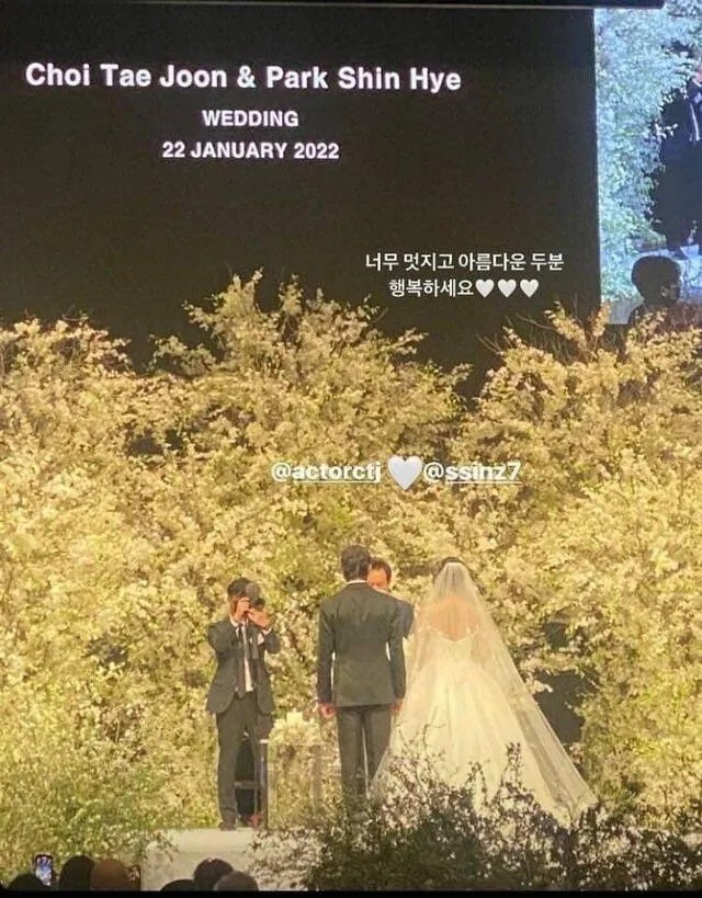 Park Shin Hye, Choi Tae Joon, boda