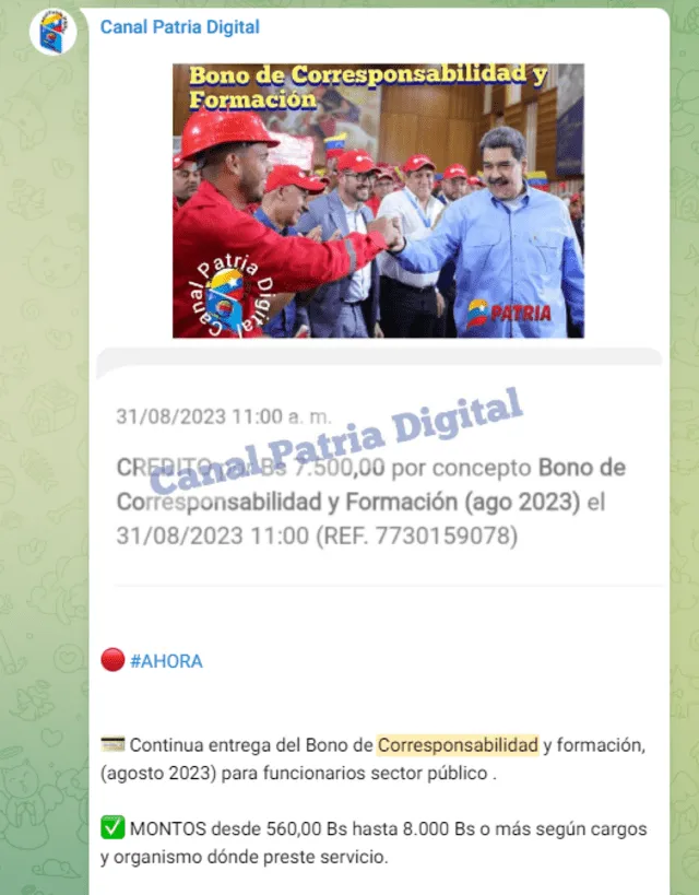 En agosto, el Bono Corresponsabilidad y Desarrollo se depositó el 31 de ese mes. Foto: Canal Patria Digital/Telegram