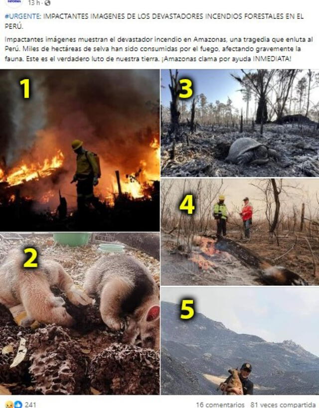  Desinformación sobre los incendios forestales en 2024. Foto: captura en Facebook.&nbsp;<br><br>    