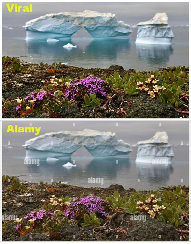 Comparación de fotos del post viral (arriba) y de Alamy (abajo). Foto: composición.