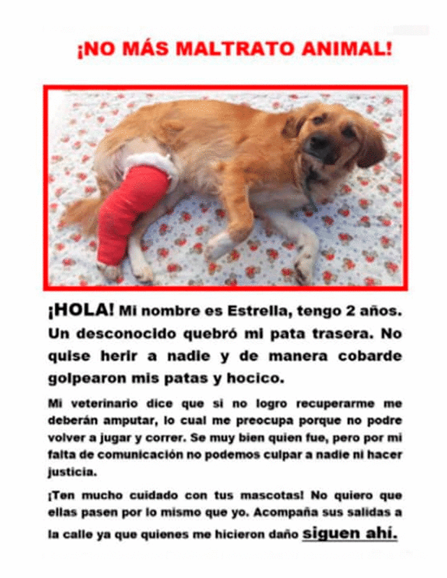 Piden ayuda para perro víctima de maltrato animal. Foto: Facebook