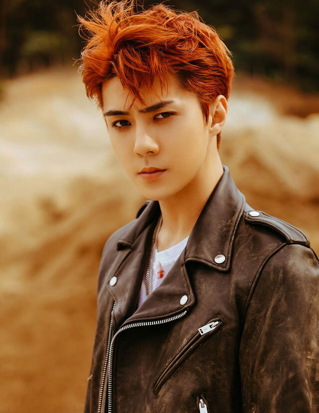 EXO, Sehun, EXO-L, solo debut, SM Entertainment, #TreatSehunBetter, servicio militar