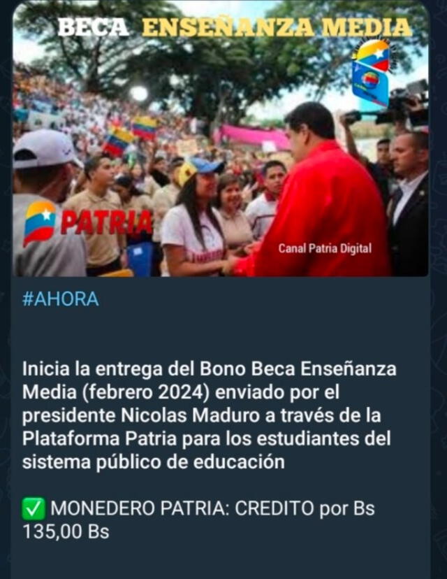 Anuncio del Bono Enseñanza Media por medio del Sistema Patria venezolano. Foto: Canal Patria Digital   