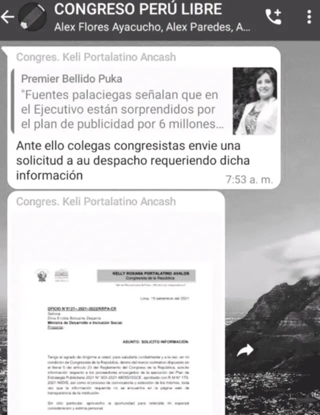 Chat de Perú Libre. Foto: Epicentro TV
