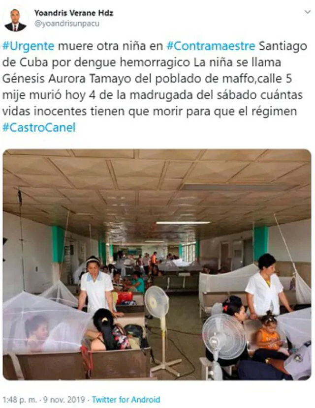 Recientemente en Cuba se han incrementado los fallecidos a causa del dengue