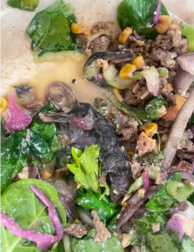 Hannah Rasbach's Salad Bowl. Photo: Hannah Rasbach/People Hannah Rasbach's Salad Bowl. Photo: Hannah Rasbach/People