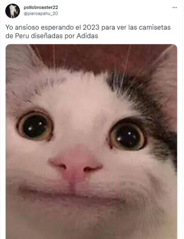 Los mejores memes tras el anuncio de Adidas como marca oficial de la selección peruana. Foto: captura de Twitter