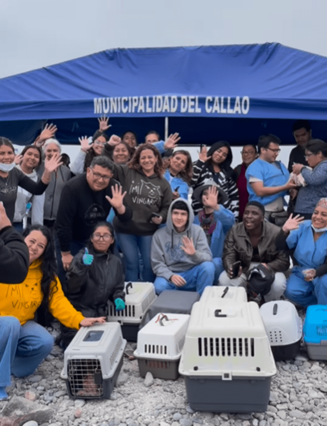  Personas que fueron a ayudar con el rescate, esterilización y alimentación de los gatos. Foto: captura de pantalla/Mike Milfort/Instagram   