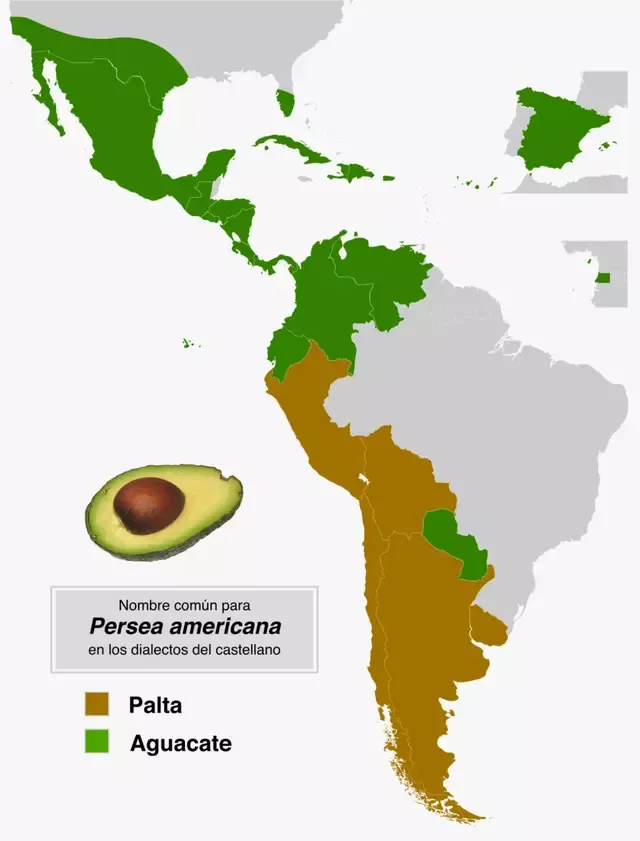  Distribución geográfica según el término preferido para el fruto de la palta o aguacate. Foto: México desconocido   