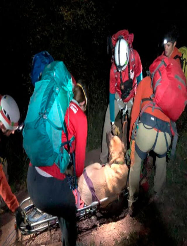 Entre los 10 rescatistas lo ayudaron a bajar la montaña. Foto: Facebook