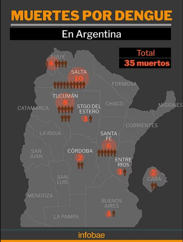  Infografía de las muertes por dengue en Argentina. Foto: Infobae   