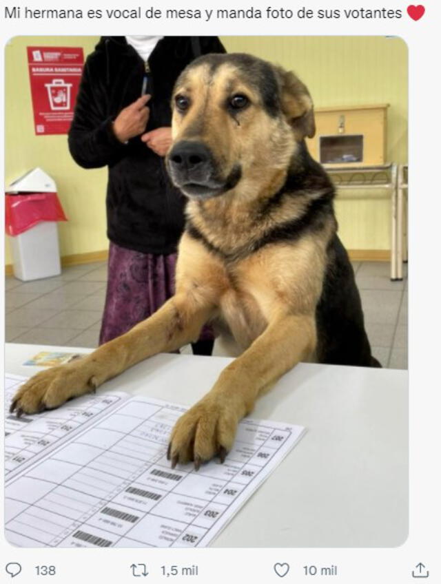 Elección 2021 Chile: Los mejores memes que dejó la jornada electoral