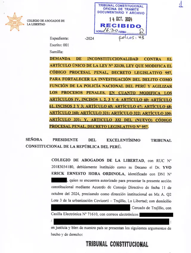 Demanda de inconstitucionalidad contra la Ley 32130   