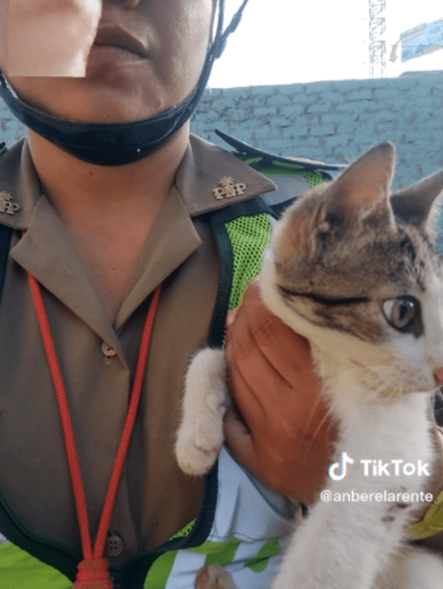 Policía adopta gatito que encontró en medio de un operativo