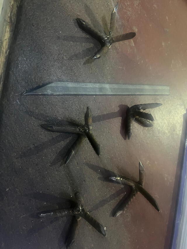  Chinchetas "alas de tiburón" incautadas por la PNP. Foto: PNP.   