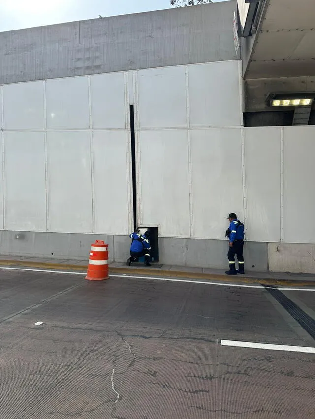 Municipalidad descarta que el gato este atrapado en las canaletas. Foto: Silvana Quiñonez   