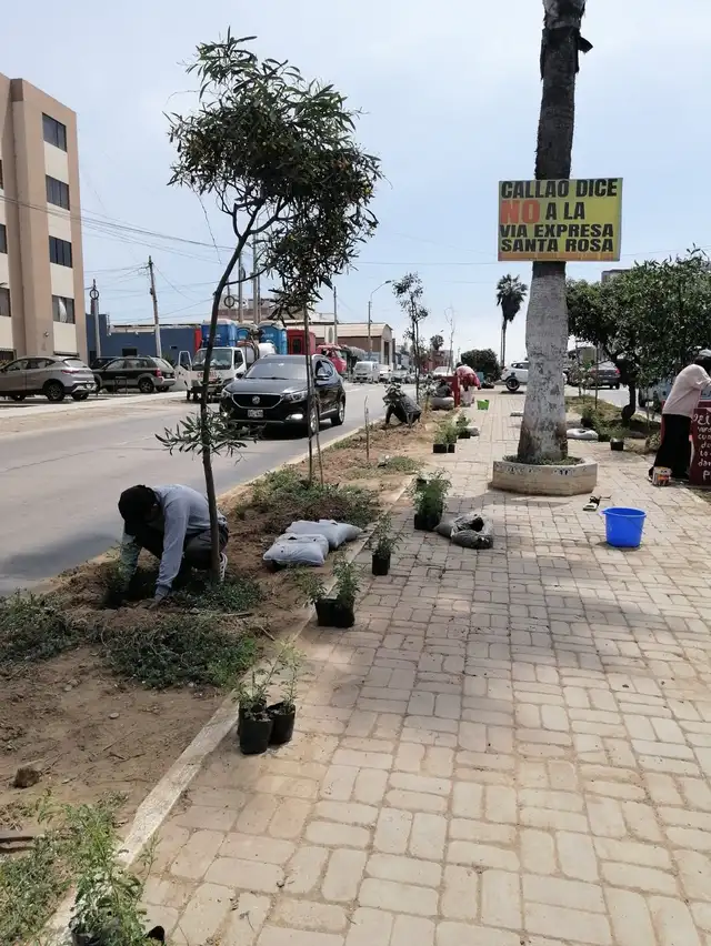 Vecinos del Callao se oponen a la construcción de la Vía Expresa Santa Rosa. Foto: difusión Vecinos del Callao se oponen a la construcción de la Vía Expresa Santa Rosa. Foto: difusión