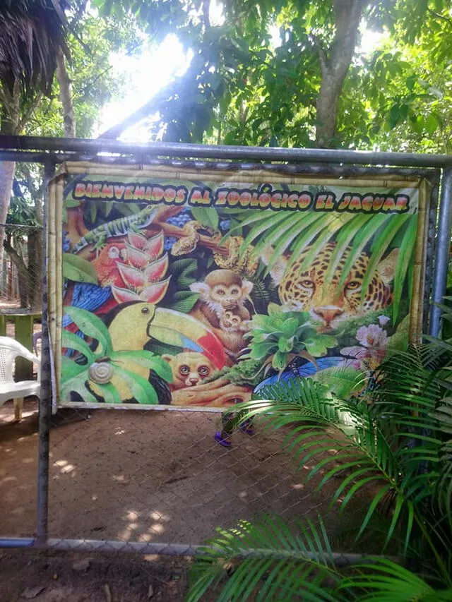 Instalaciones del zoológico 'El Jaguar' de Puerto Maldonado. (Foto: Facebook/Alexio Vargas)