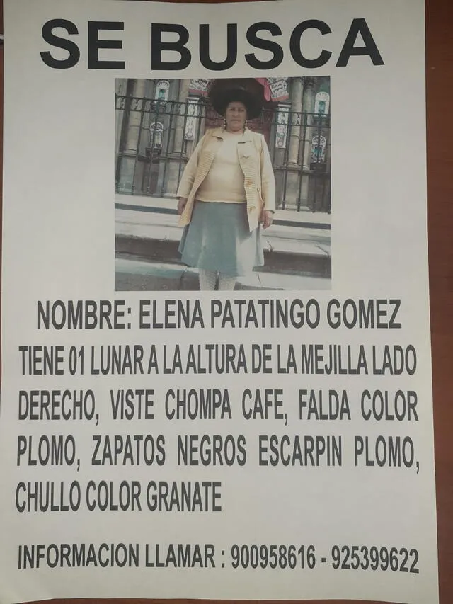 Buscan a mujer desaparecida en Juliaca. Foto: difusión