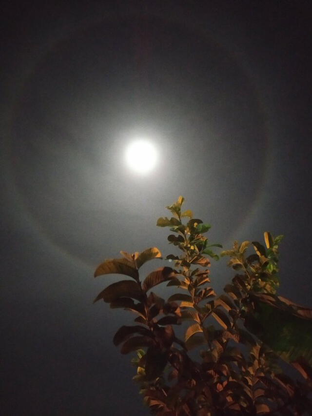 Eclipse lunar en Venezuela 2022. Foto: @chloequesea/ Twitter