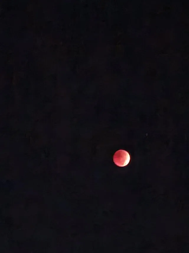 Registro fotográfico del eclipse lunar total visto desde Perú. Foto: Edgar Díaz / Twitter