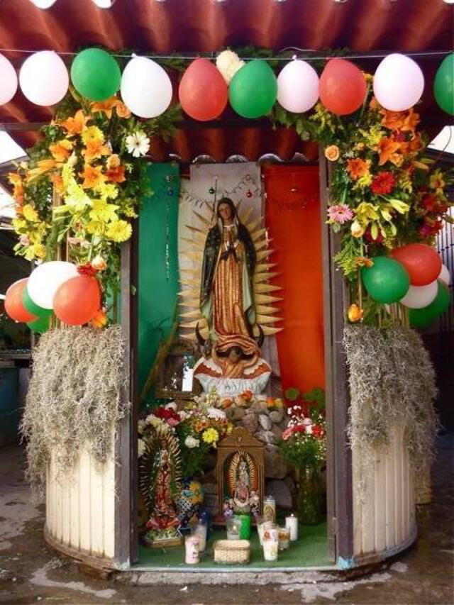 Virgen de Guadalupe: alrededor de 10 millones de personas asistieron a la celebración de la Virgen morena