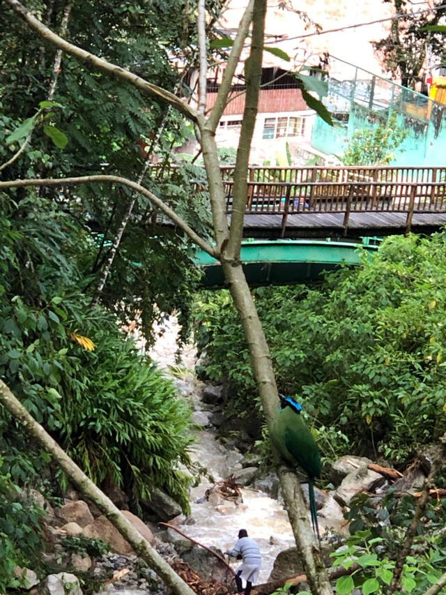 Derrumbe en río Alcamayo generado por lluvias en la zona. Foto: Municipalidad de Machu Picchu