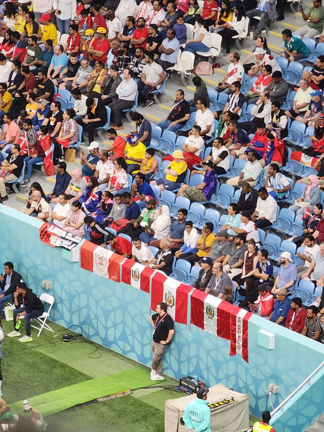 Hinchas peruanos presentes en el Australia vs. Dinamarca. Foto: Carlos Salinas/Grupo La República