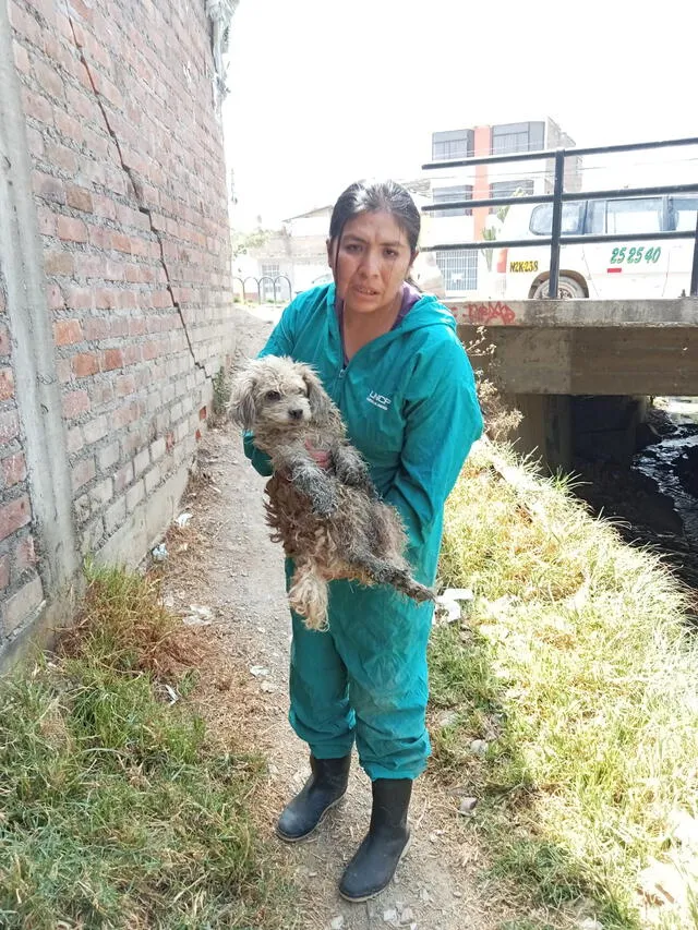  Emilia durante su labor como rescatista. Foto: cortesía de Emilia Rescata Huancayo   