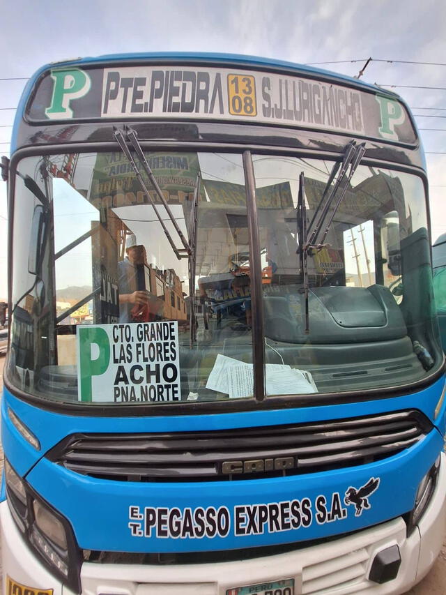 Bus de la empresa Pegasso Express. Foto: Twitter/SJL Opina   