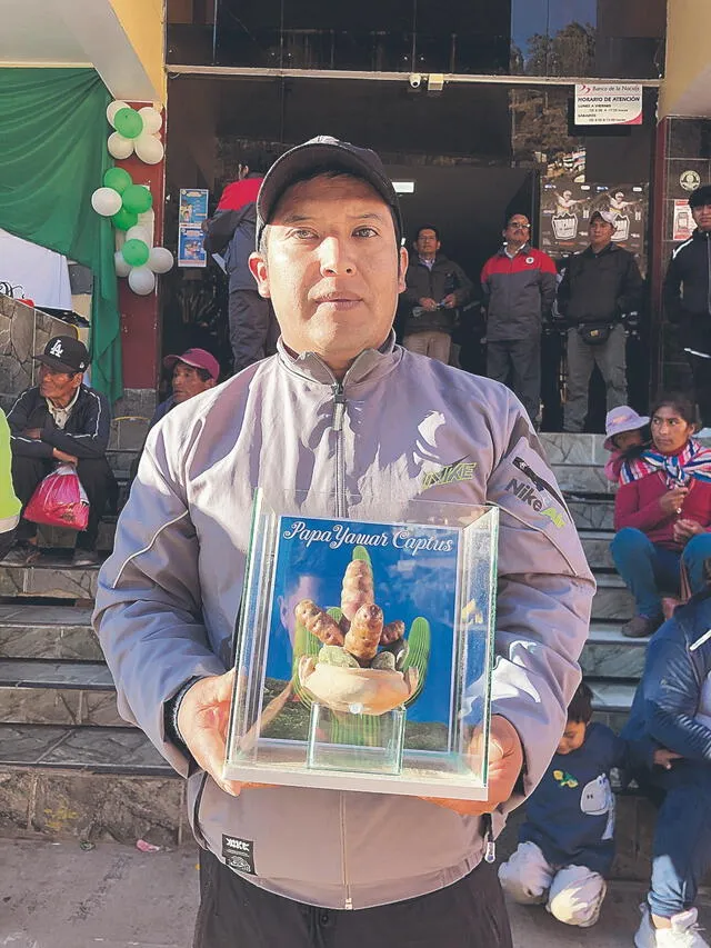  Ganó. La papa captus de Líder Huacachi se llevó el premio al productor más curioso. Foto: Cristian Chamba / URPI - LR   