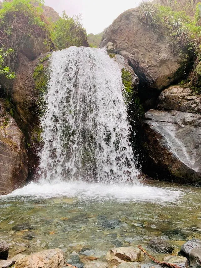  Piscina natural en 5 cerros   