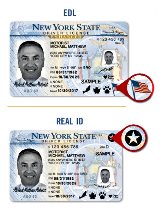 Differences between a Real ID vs. Enhanced Driver's Licenses. Photo: DMV Differences between a Real ID vs. Enhanced Driver's Licenses. Photo: DMV