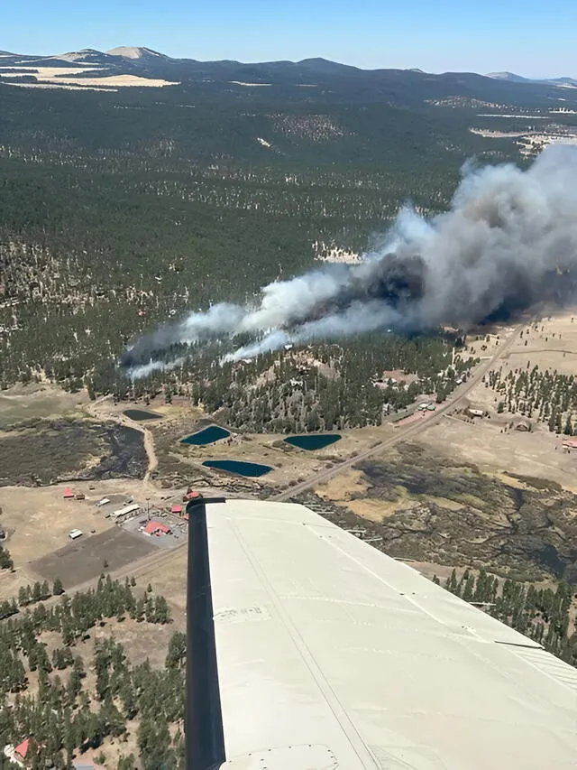 The Greer Fire rages on May 13, 2025, near Greer and South Fork, Arizona. Photo: Arizona Department Of Forestry And Fire Management The Greer Fire rages on May 13, 2025, near Greer and South Fork, Arizona. Photo: Arizona Department Of Forestry And Fire Management