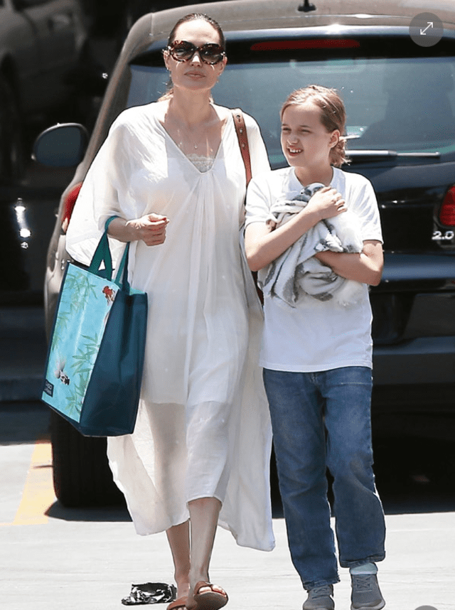 Angelina Jolie sorprende con nuevo integrante en su familia 