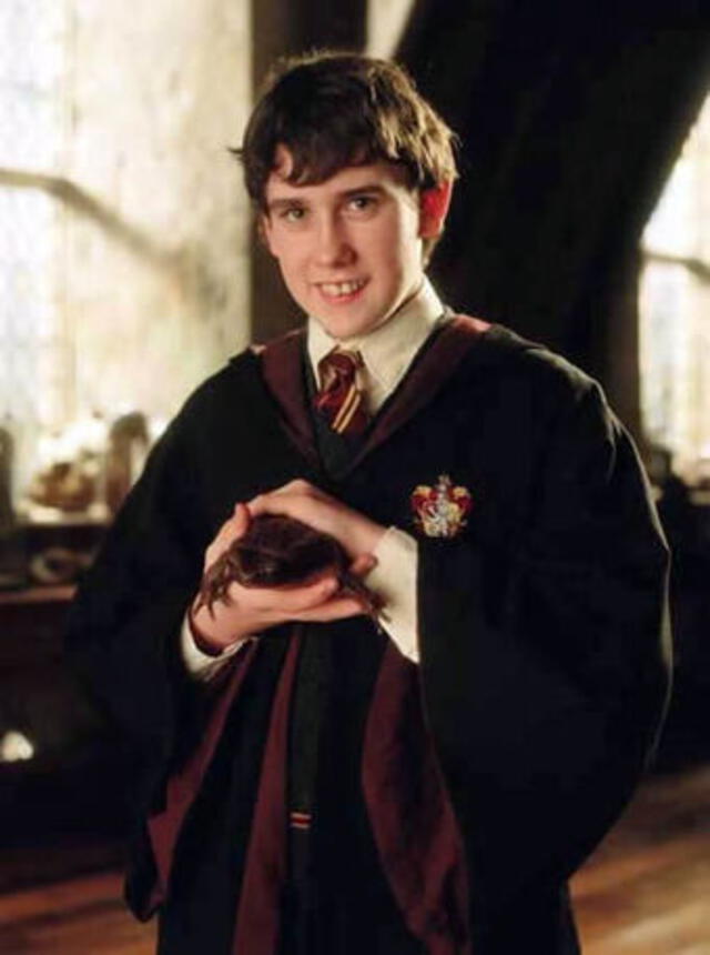 “Harry Potter”: Neville Longbottom tendría la mayor cantidad de muertes, luego de Voldemort