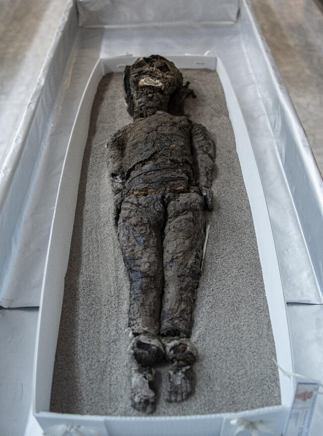 Una momia de la cultura Chinchorro se exhibe en el museo arqueológico San Miguel de Azapa en Camarones, Arica, Chile. Foto: AFP   