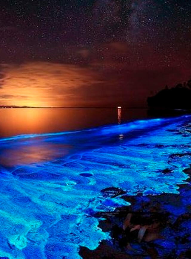 Las playas más hermosas del mundo | playas colombia | tortugas carey