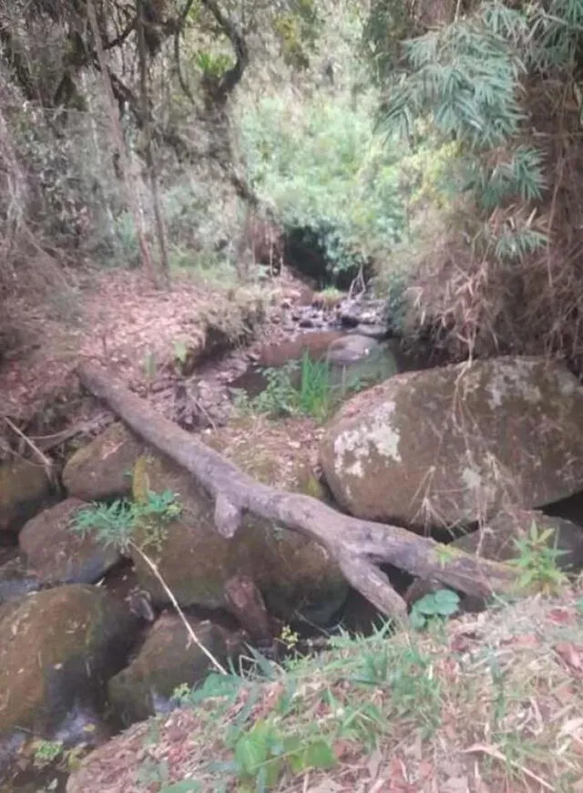 La quebrada San Lorenzo luce seca en medio de las acusaciones a Coca Cola. Foto: Voragine   