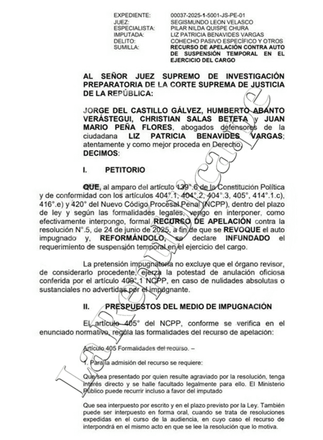 Recurso de apelación de Patricia Benavides. Recurso de apelación de Patricia Benavides.