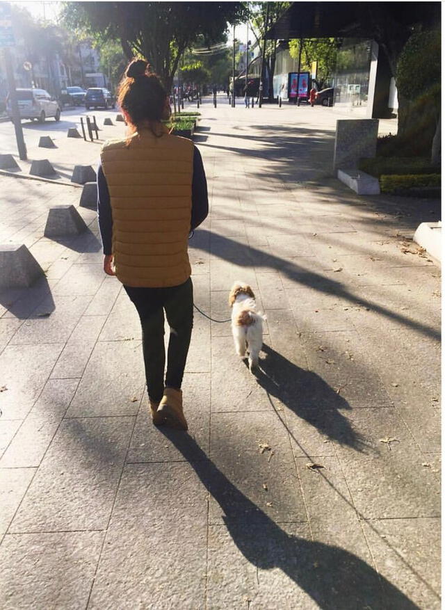 Ella era amante de los perros, pues los consideraba sus amigos incondicionales. (Foto: Instagram)