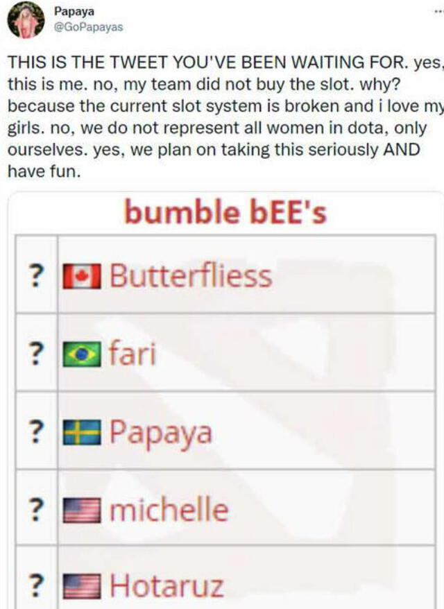 El roster de bumble bEE's. Foto: Twitter