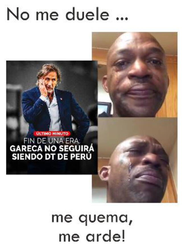 Memes tras salida de Ricardo Gareca como entrenador de la selección. Foto: captura de Twitter