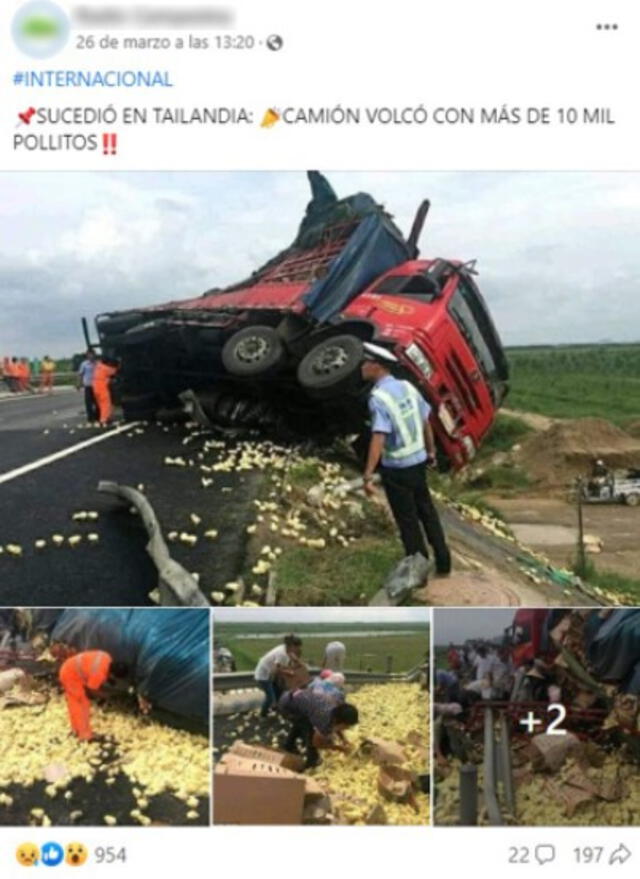  La publicación señala que supuestamente la volcadura del camión con pollitos fue en 2023 y en Tailandia. Foto: captura en Facebook.    