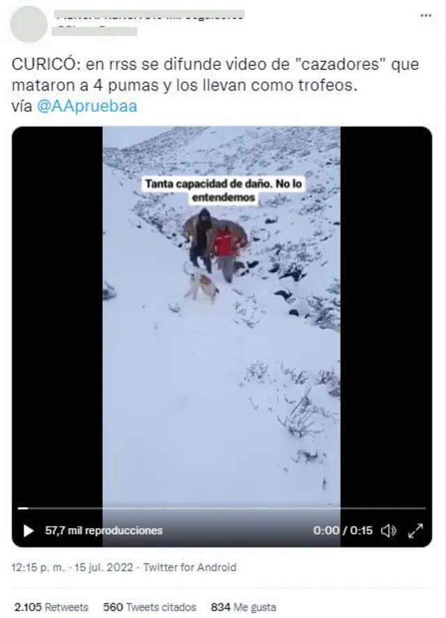 Publicación que afirma que el video de la caza ilegal ocurrió supuestamente en Chile. Foto: captura en Twitter.