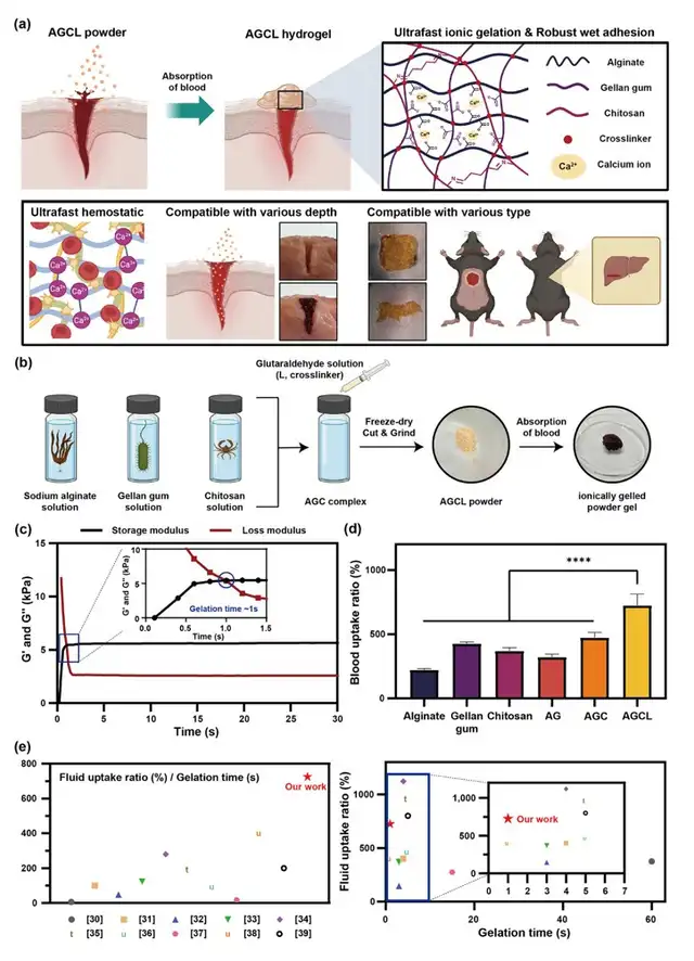 El polvo hemostático AGCL powder combina biopolímeros naturales como alginato y gellan gum. Foto: KAIST<br> El polvo hemostático AGCL powder combina biopolímeros naturales como alginato y gellan gum. Foto: KAIST<br>